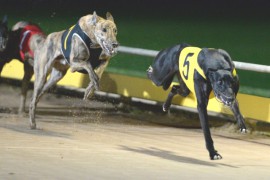 Horsham & Ballarat Preview