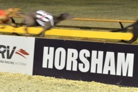 Horsham greyhound racing track to temporarily close as it undergoes a major upgrade