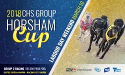 2018 CHS Group Horsham Cup