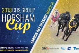 2018 CHS Group Horsham Cup