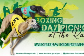 Boxing Day Picnic at the Races