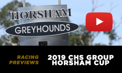 2019 CHS Group Horsham Cup Preview