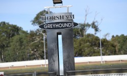 The Inside Word – 2019 CHS Group Horsham Cup