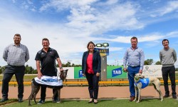 Greyhound clubs unite to launch exciting ‘Western Festival of Racing’