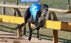 Boston Garden’s Horsham slam dunk