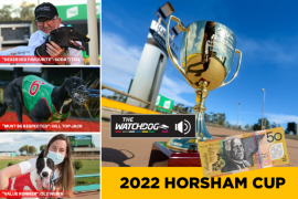 How to spend $50 on TAB’s ‘All In’ Horsham Cup market